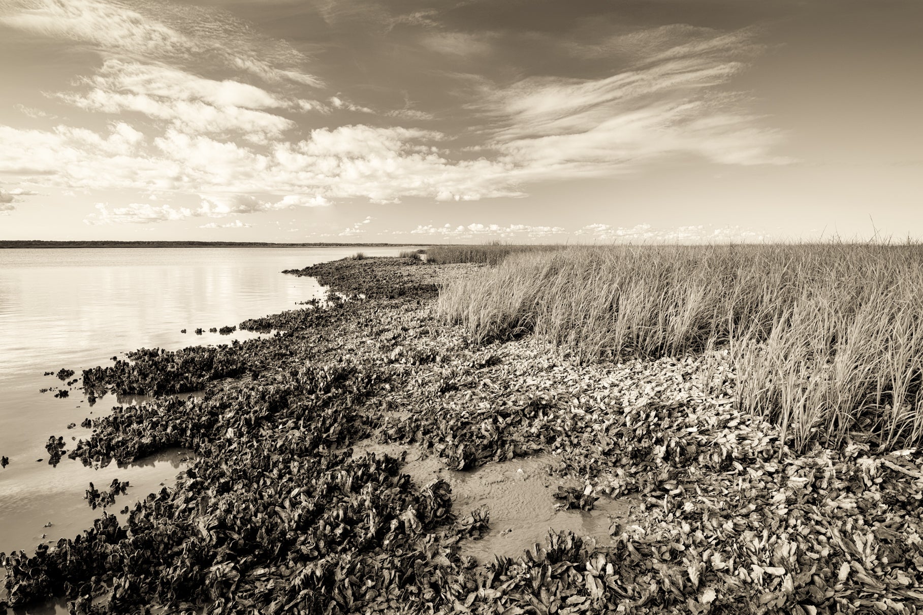 Along the Banks