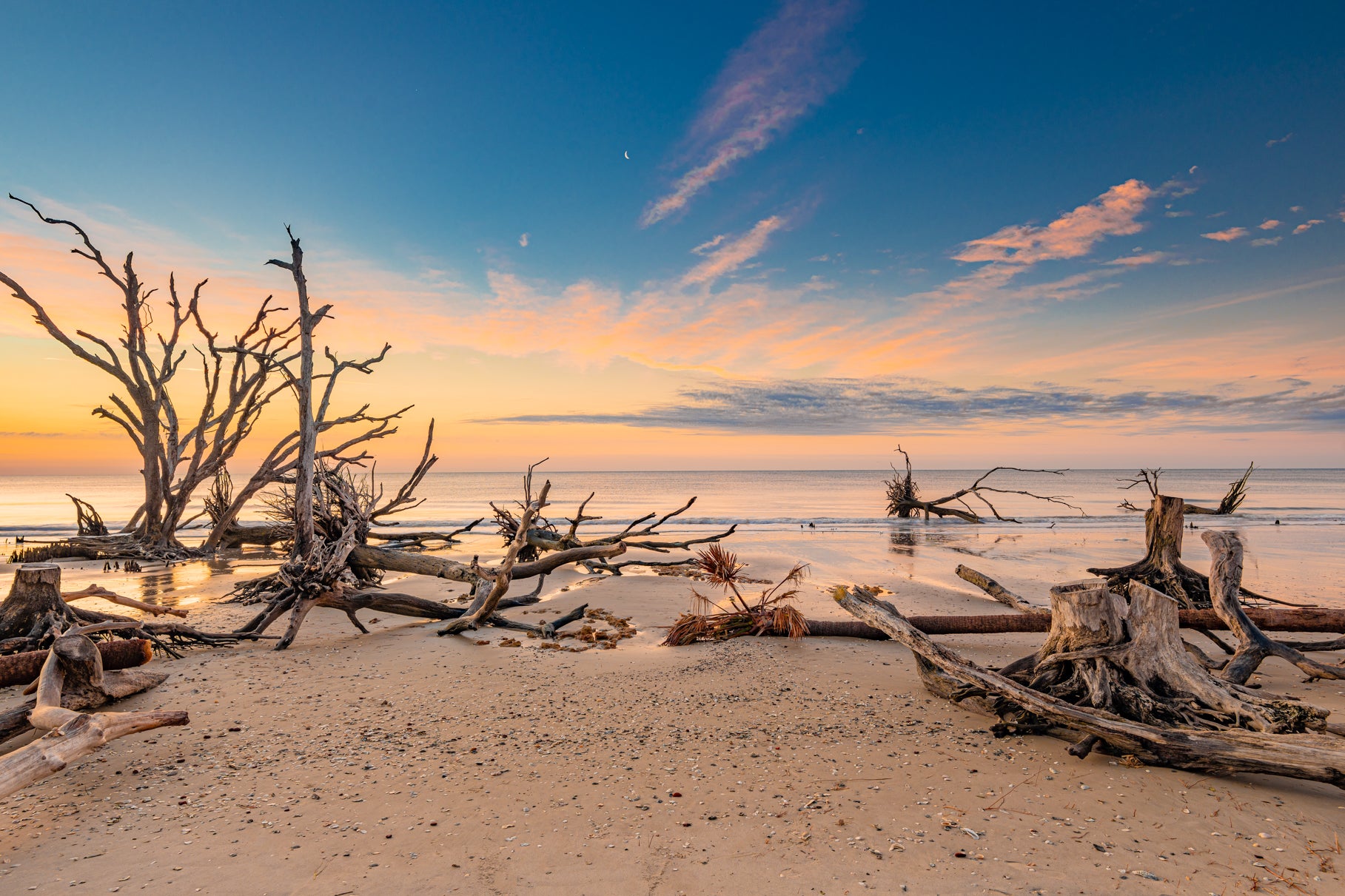 Boneyard Twilight