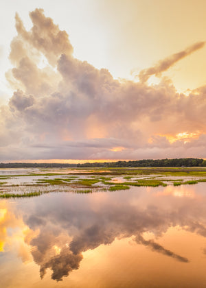 Flood Tide Skies