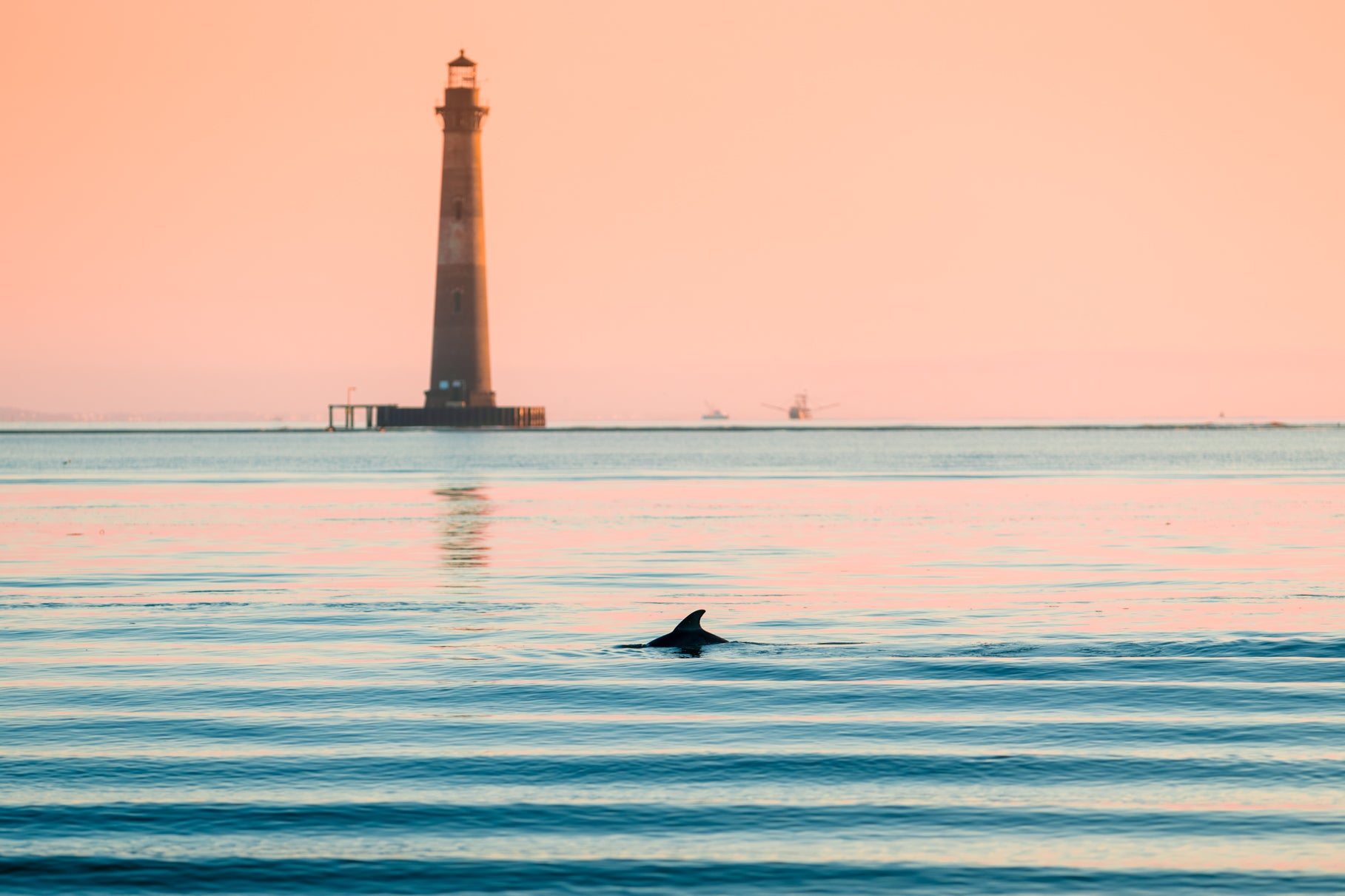 Shoreside Visitor