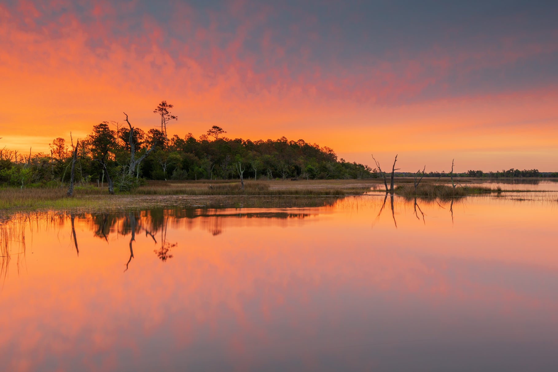 Still Waters